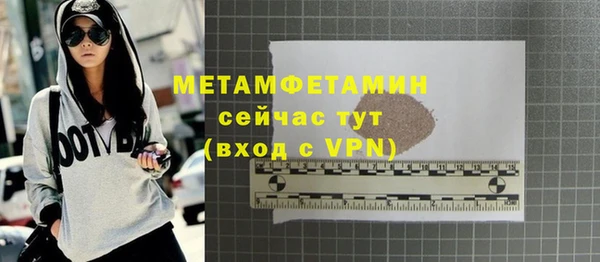 прущие грибы Беломорск