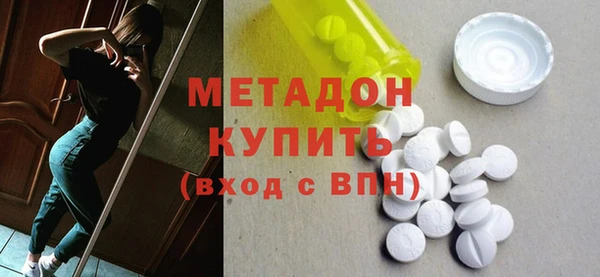 прущие грибы Беломорск
