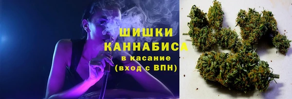 дурь Белоозёрский