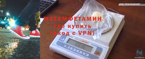 прущие грибы Беломорск
