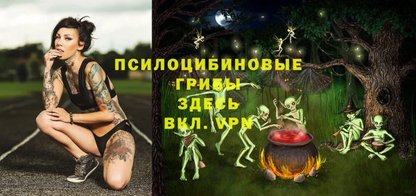 прущие грибы Беломорск