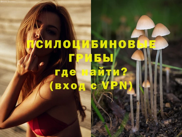 прущие грибы Беломорск