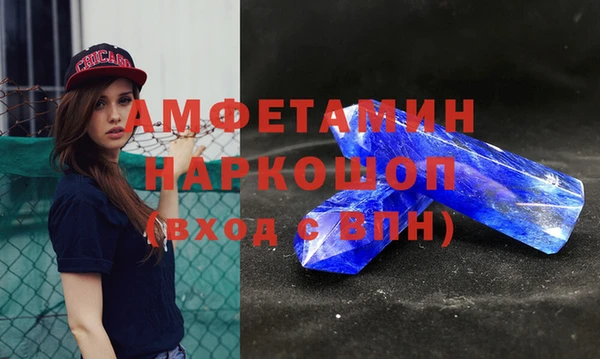 прущие грибы Беломорск