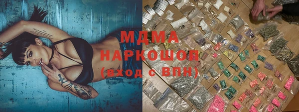 прущие грибы Беломорск