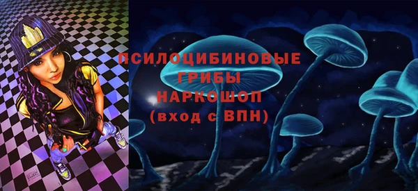 прущие грибы Беломорск
